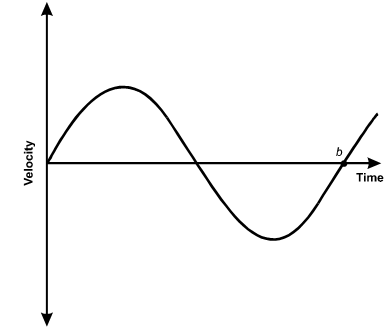 There is a line graph with the vertical axis labeled Velocity and the horizontal axis labeled Time. 