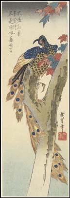 There are images of 2 woodblock prints. Image 1 shows a peacock on the forked trunk of a tree with two clusters of colorful leaves. The image is rendered with soft lines and both soft and deep colors. The characteristics of a peacock are clearly discernable.