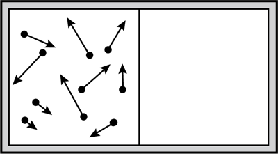 diagram shows an isolated double chamber